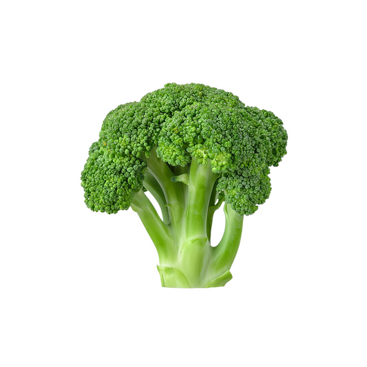 Fresh broccoli vegetable