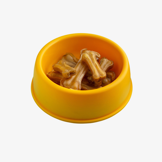 Delicious food for pet