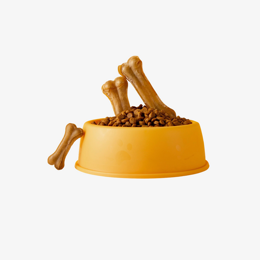 Delicious food for pet