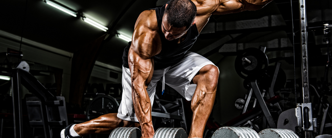 Easy Nutrition Hacks to Keep You Fit, Focused, and Feeling Great