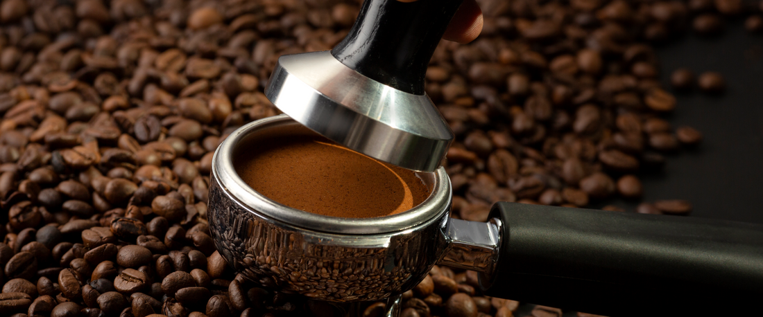 Robusta Coffee Beans Which One Should You Choose