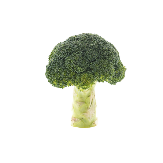 Fresh broccoli vegetable