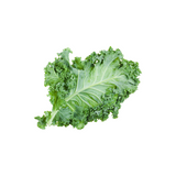 Green Kale Leaves